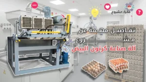 مشروع آلة صناعة كرتون البيض