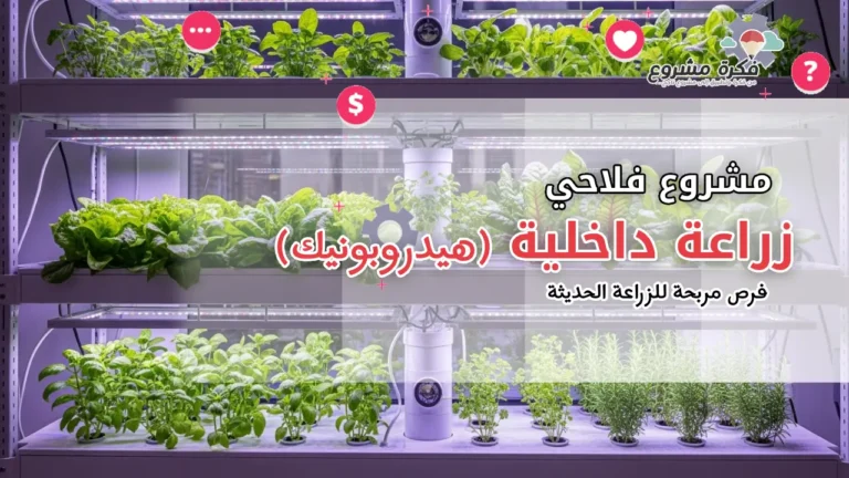 مشروع زراعة داخلية (هيدروبونيك): فرص مربحة للزراعة الحديثة